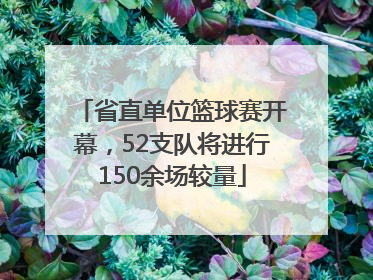 省直单位篮球赛开幕，52支队将进行150余场较量