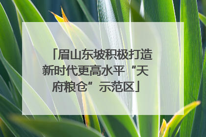 眉山东坡积极打造新时代更高水平“天府粮仓”示范区