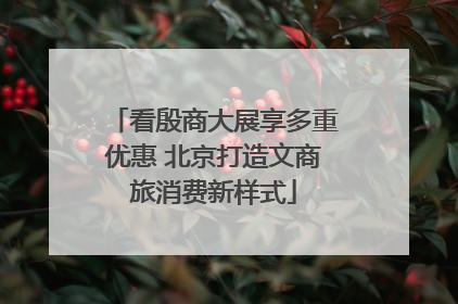 看殷商大展享多重优惠 北京打造文商旅消费新样式