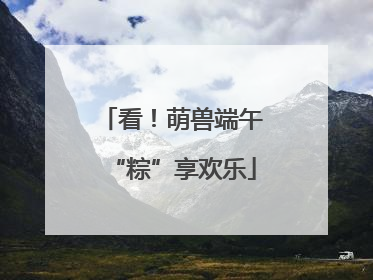 看！萌兽端午“粽”享欢乐