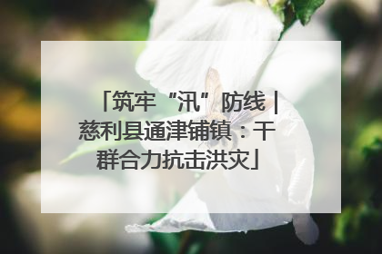 筑牢“汛”防线｜慈利县通津铺镇：干群合力抗击洪灾