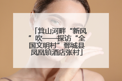 箕山河畔“新风”吹——探访“全国文明村”鄄城县凤凰镇酒店张村