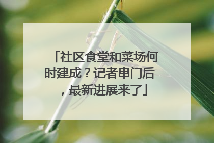 社区食堂和菜场何时建成？记者串门后，最新进展来了
