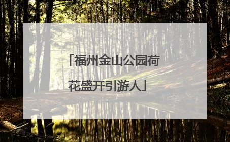 福州金山公园荷花盛开引游人