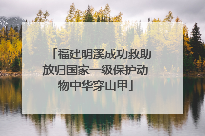 福建明溪成功救助放归国家一级保护动物中华穿山甲