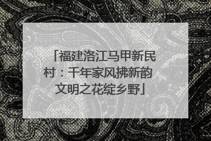 福建洛江马甲新民村：千年家风拂新韵 文明之花绽乡野