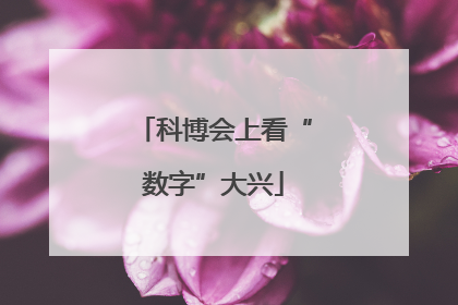 科博会上看“数字”大兴