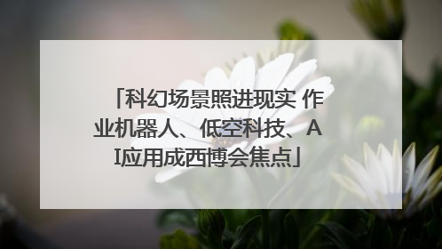 科幻场景照进现实 作业机器人、低空科技、AI应用成西博会焦点