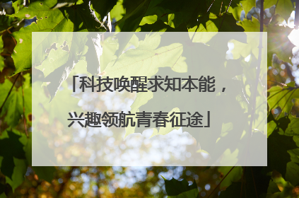科技唤醒求知本能，兴趣领航青春征途