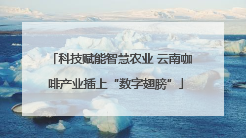 科技赋能智慧农业 云南咖啡产业插上“数字翅膀”