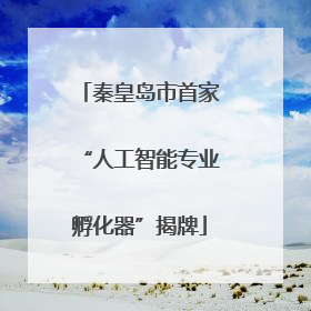 秦皇岛市首家“人工智能专业孵化器”揭牌