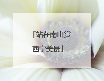 站在南山赏西宁美景