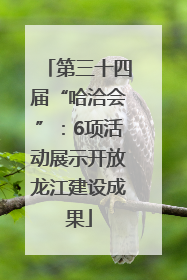 第三十四届“哈洽会”：6项活动展示开放龙江建设成果