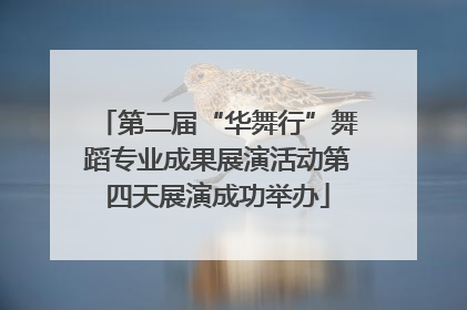 第二届“华舞行”舞蹈专业成果展演活动第四天展演成功举办