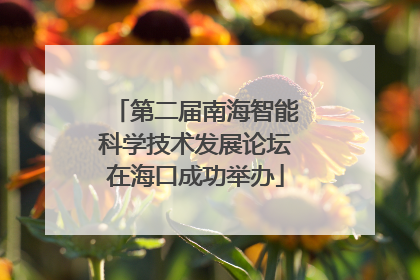 第二届南海智能科学技术发展论坛在海口成功举办
