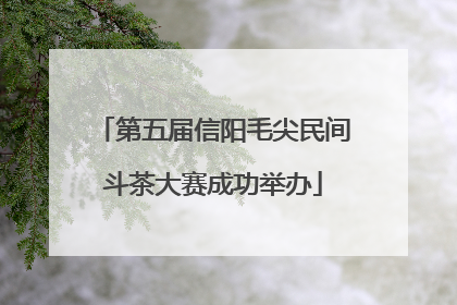 第五届信阳毛尖民间斗茶大赛成功举办
