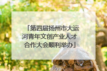 第四届扬州市大运河青年文创产业人才合作大会顺利举办