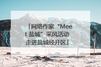 网络作家“Meet 盐城”采风活动走进盐城经开区