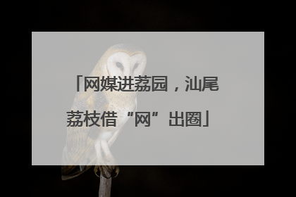网媒进荔园，汕尾荔枝借“网”出圈