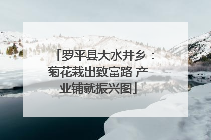 罗平县大水井乡：菊花栽出致富路 产业铺就振兴图