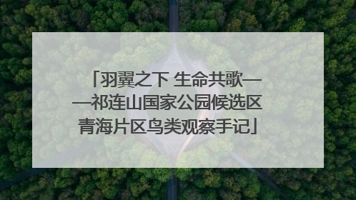 羽翼之下 生命共歌——祁连山国家公园候选区青海片区鸟类观察手记