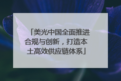 美光中国全面推进合规与创新，打造本土高效供应链体系