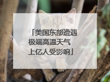 美国东部遭遇极端高温天气 上亿人受影响