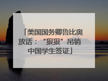 美国国务卿鲁比奥放话：“狠狠”吊销中国学生签证