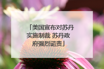 美国宣布对苏丹实施制裁 苏丹政府强烈谴责