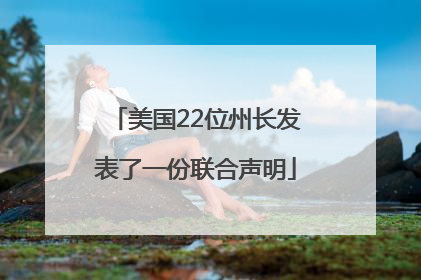 美国22位州长发表了一份联合声明
