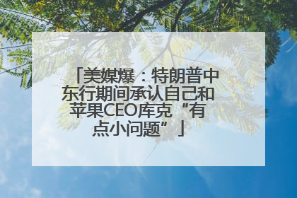 美媒爆：特朗普中东行期间承认自己和苹果CEO库克“有点小问题”