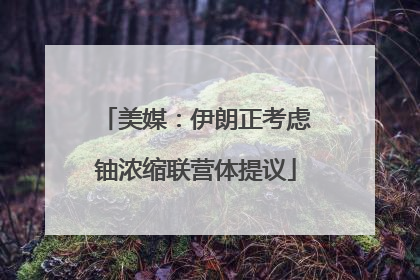 美媒：伊朗正考虑铀浓缩联营体提议