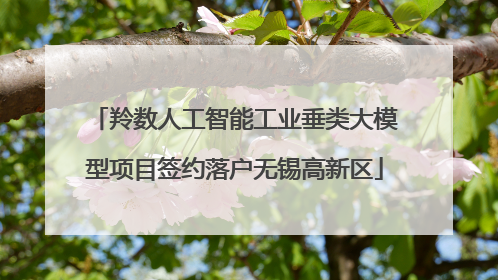 羚数人工智能工业垂类大模型项目签约落户无锡高新区