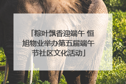 粽叶飘香迎端午 恒旭物业举办第五届端午节社区文化活动