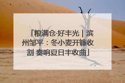 粮满仓·好丰光｜滨州邹平：冬小麦开镰收割 奏响夏日丰收曲