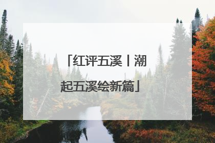 红评五溪丨潮起五溪绘新篇