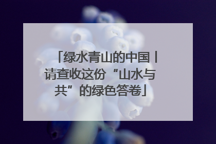 绿水青山的中国丨请查收这份“山水与共”的绿色答卷