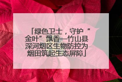 绿色卫士，守护“金叶”飘香—竹山县深河烟区生物防控为烟田筑起生态屏障