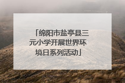 绵阳市盐亭县三元小学开展世界环境日系列活动