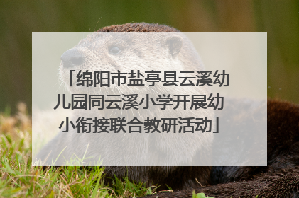 绵阳市盐亭县云溪幼儿园同云溪小学开展幼小衔接联合教研活动