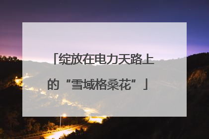 绽放在电力天路上的“雪域格桑花”