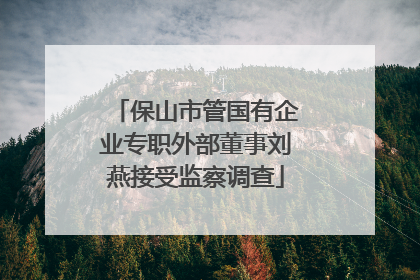 保山市管国有企业专职外部董事刘燕接受监察调查