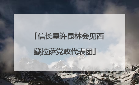 信长星许昆林会见西藏拉萨党政代表团