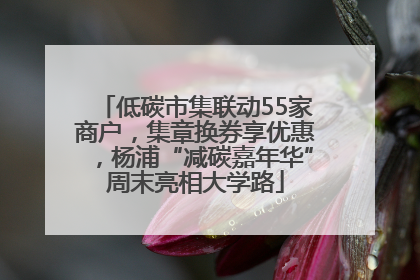 低碳市集联动55家商户，集章换券享优惠，杨浦“减碳嘉年华”周末亮相大学路