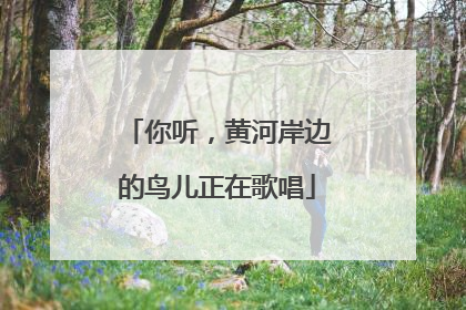 你听，黄河岸边的鸟儿正在歌唱
