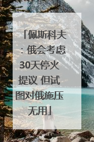 佩斯科夫：俄会考虑30天停火提议 但试图对俄施压无用