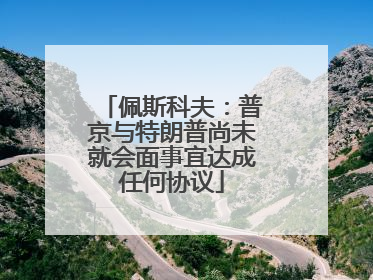 佩斯科夫：普京与特朗普尚未就会面事宜达成任何协议