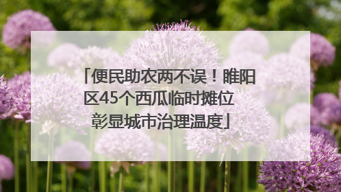 便民助农两不误！睢阳区45个西瓜临时摊位 彰显城市治理温度