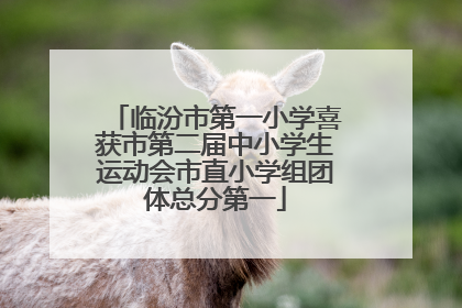 临汾市第一小学喜获市第二届中小学生运动会市直小学组团体总分第一