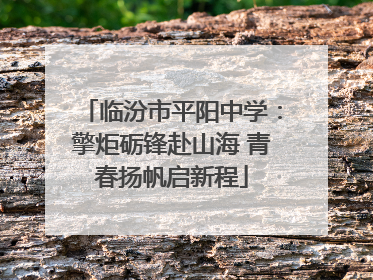 临汾市平阳中学：擎炬砺锋赴山海 青春扬帆启新程